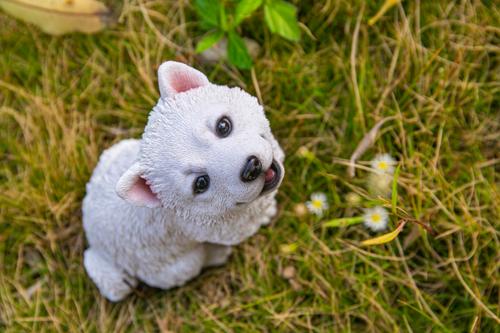 Show full view: Hi-Line Gift Howling American Eskimo Puppy Statue, 6.61-in slide 7 of 8