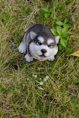 Show full view: Hi-Line Gift Alaskan Malamute Puppy Howling Statue, 6.69-in slide 7 of 8