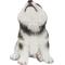 Show in main carousel: Hi-Line Gift Alaskan Malamute Puppy Howling Statue, 6.69-in slide 5 of 8