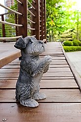 Hi-Line Gift Schnauzer Puppy Praying Statue, 8.35-in