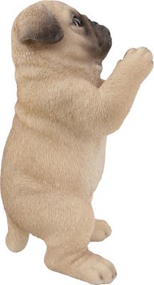 Show full view: Hi-Line Gift Pug Puppy Praying Statue, 8.35-in slide 4 of 8
