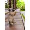 Show in main carousel: Hi-Line Gift Pug Puppy Praying Statue, 8.35-in slide 1 of 8