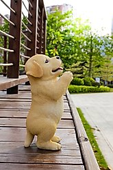 Hi-Line Gift Yellow Labrador Puppy Praying Statue, 8.43-in