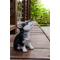 Show in main carousel: Hi-Line Gift Siberian Husky Puppy Howling Statue, 6.81-in slide 1 of 8