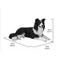 Show in main carousel: Hi-Line Gift Lying Down Border Collie Statue, 14.17-in slide 7 of 8