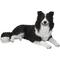 Show in main carousel: Hi-Line Gift Lying Down Border Collie Statue, 14.17-in slide 2 of 8