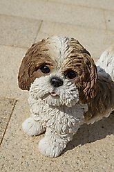 Hi-Line Gift Standing Shih Tzu Statue, Brown & White, 10.04-in slide 2 of 8