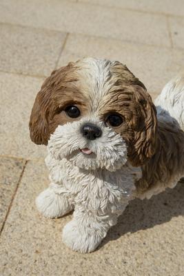 Show full view: Hi-Line Gift Standing Shih Tzu Statue, Brown & White, 10.04-in slide 7 of 9