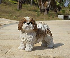 Hi-Line Gift Standing Shih Tzu Statue, Brown & White, 10.04-in