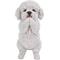 Show in main carousel: Hi-Line Gift Poodle Puppy Playing Statue, 8.5-in slide 3 of 7