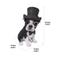 Show in main carousel: Hi-Line Gift Boston Terrier Statue with Top Hat, Spectacle, & Bow Tie, 8-in slide 6 of 6