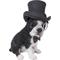 Show in main carousel: Hi-Line Gift Boston Terrier Statue with Top Hat, Spectacle, & Bow Tie, 8-in slide 4 of 6