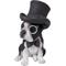 Show in main carousel: Hi-Line Gift Boston Terrier Statue with Top Hat, Spectacle, & Bow Tie, 8-in slide 3 of 6