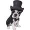 Show in main carousel: Hi-Line Gift Boston Terrier Statue with Top Hat, Spectacle, & Bow Tie, 8-in slide 2 of 6