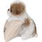 Show in main carousel: Hi-Line Gift Shih Tzu Statue with Welcome Sign, 4.92-in slide 3 of 6