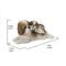 Show in main carousel: Hi-Line Gift Mother & Baby Shih Tzu Statue, 6.22-in slide 7 of 8