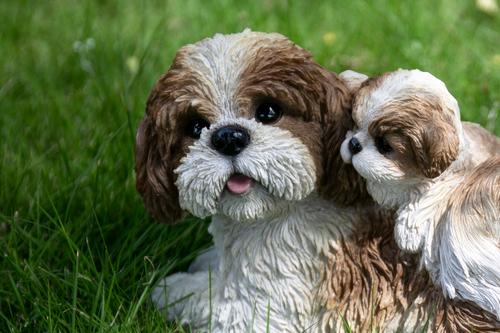 Show full view: Hi-Line Gift Mother & Baby Shih Tzu Statue, 6.22-in slide 6 of 8
