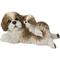 Show in main carousel: Hi-Line Gift Mother & Baby Shih Tzu Statue, 6.22-in slide 2 of 8