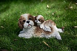 Hi-Line Gift Mother & Baby Shih Tzu Statue, 6.22-in