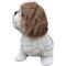 Show in main carousel: Hi-Line Gift Shih Tzu Statue, Black & Brown, 11.02-in slide 3 of 8