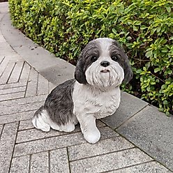 Hi-Line Gift Shih Tzu Statue, White & Brown, 11.02-in