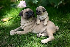 Hi-Line Gift Mother & Baby Pugs Statue, 6.1-in
