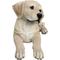 Show in main carousel: Hi-Line Gift Lying Yellow Labrador Figurine, 8.86-in slide 3 of 8