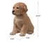 Show in main carousel: Hi-Line Gift Golden Retreiver Puppy Statue, 10.43-in slide 8 of 9