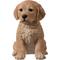 Show in main carousel: Hi-Line Gift Golden Retreiver Puppy Statue, 10.43-in slide 2 of 9