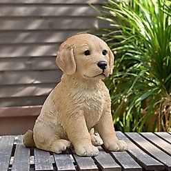 Hi-Line Gift Golden Retreiver Puppy Statue, 10.43-in
