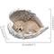 Show in main carousel: Hi-Line Gift Angel Dog Statue Memorial Figurine, 8-in slide 7 of 9