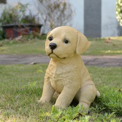 Hi-Line Gift Labrador Puppy Statue, 10.43-in
