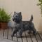 Show in main carousel: Hi-Line Gift Cairn Terrier Statue, 13.8-in slide 1 of 8