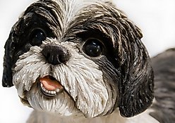 Hi-Line Gift Shih Tzu Lying Down Statue, 7.48-in slide 2 of 7