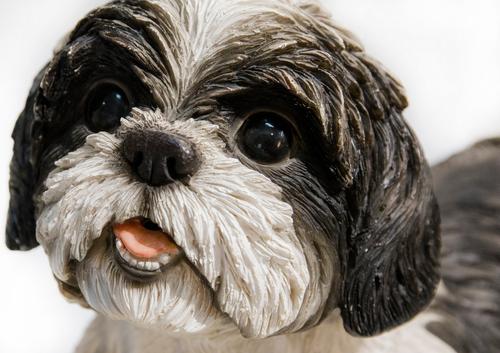 Show full view: Hi-Line Gift Shih Tzu Lying Down Statue, 7.48-in slide 7 of 7