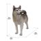 Show in main carousel: Hi-Line Gift Siberian Husky Statue, 22-in slide 6 of 6
