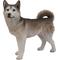 Show in main carousel: Hi-Line Gift Siberian Husky Statue, 22-in slide 2 of 6