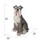 Show in main carousel: Hi-Line Gift Sitting Schnauzer Statue, 15.5-in slide 6 of 7