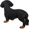 Show in main carousel: Hi-Line Gift Standing Dachshund Statue, 13-in slide 2 of 5