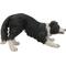 Show in main carousel: Hi-Line Gift Dog-Border Collie Statue, 13-in slide 7 of 8