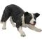 Show in main carousel: Hi-Line Gift Dog-Border Collie Statue, 13-in slide 6 of 8