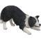 Show in main carousel: Hi-Line Gift Dog-Border Collie Statue, 13-in slide 5 of 8