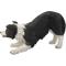 Show in main carousel: Hi-Line Gift Dog-Border Collie Statue, 13-in slide 3 of 8