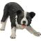 Show in main carousel: Hi-Line Gift Dog-Border Collie Statue, 13-in slide 4 of 8