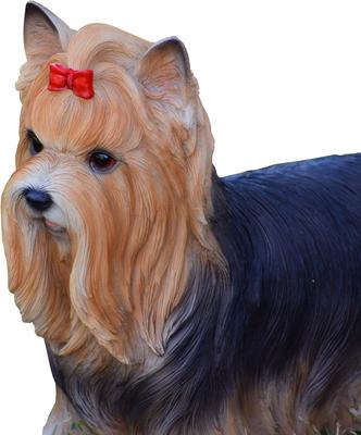 Show full view: Hi-Line Gift Yorkshire Terrier Statue, 9.5-in slide 6 of 6