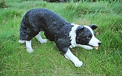 Hi-Line Gift Dog-Border Collie Statue, 13-in