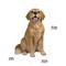 Show in main carousel: Hi-Line Gift Sitting Golden Retriever Statue, 14-in slide 6 of 6