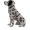 Show in main carousel: Hi-Line Gift Sitting Dalmation Statue, 20.5-in slide 5 of 6