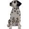 Show in main carousel: Hi-Line Gift Sitting Dalmation Statue, 20.5-in slide 2 of 6