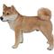 Show in main carousel: Hi-Line Gift Standing Shiba Inu Statue, 16.5-in slide 5 of 5